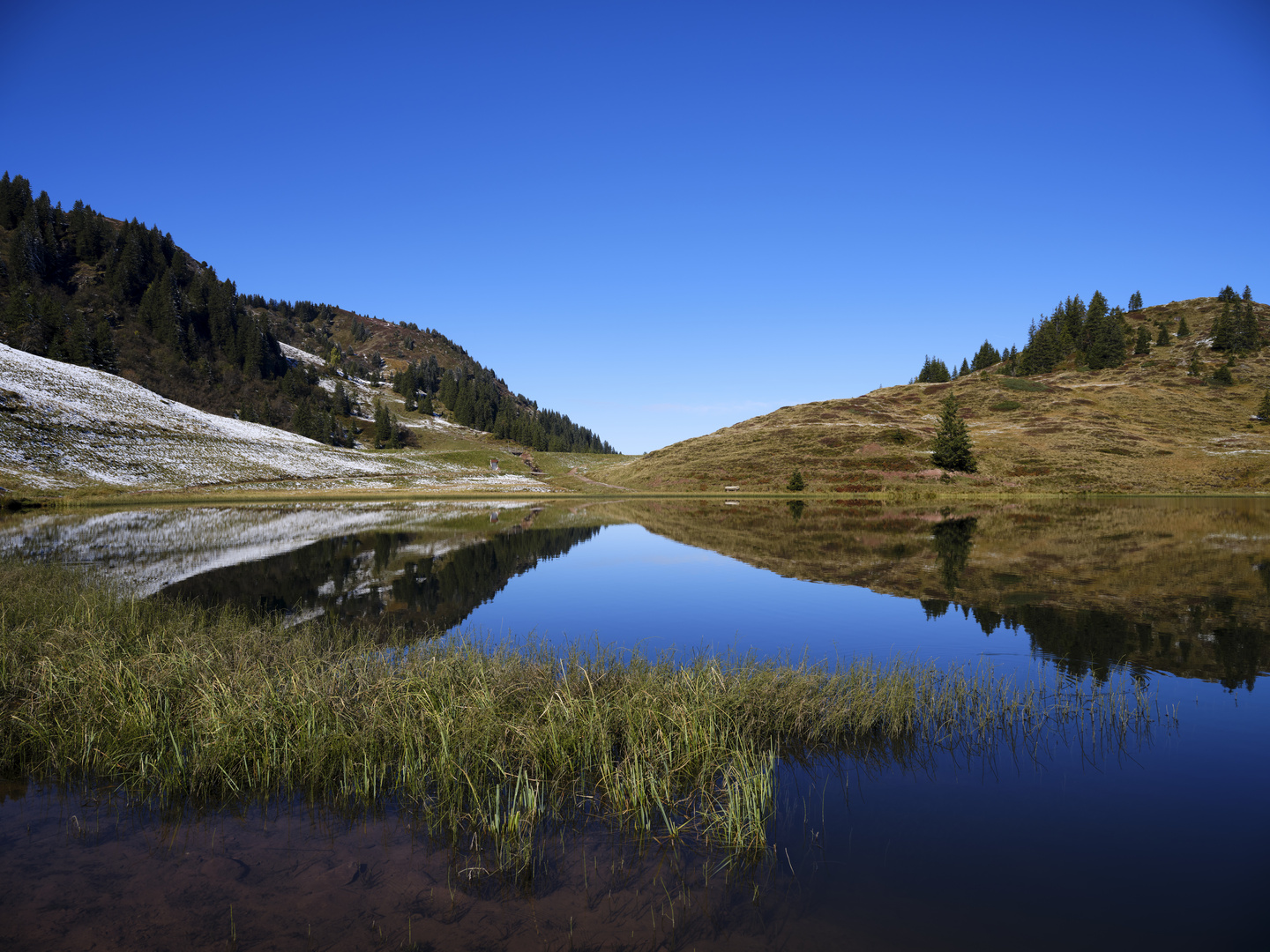 Grosssee auf der Seebenalb