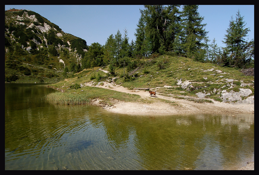 ~ Großsee ~