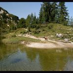 ~ Großsee ~