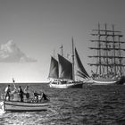 Großsegler vor Warnemünde während der Hanse-Sail -Thementag S/W Freitag