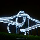 Großskulptur „Tiger & Turtle“ im Landschaftsbauwerk Angerpark in Duisburg