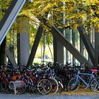 Großstadt Herbst