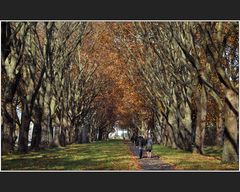 Grossstadt-Herbst