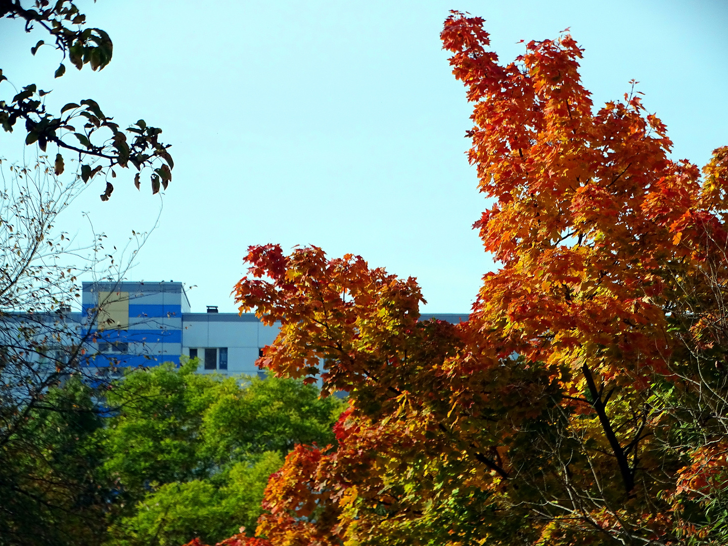 Großstadt-Herbst