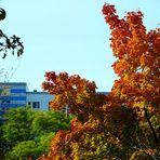 Großstadt-Herbst