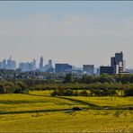 Großstadt in der Nähe und trotzdem im Grünen, ...