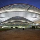 Großstadtbahnhof bei Nacht