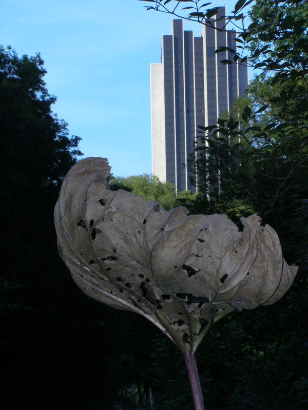 Großstadtdschungel von Stefan Beermanns