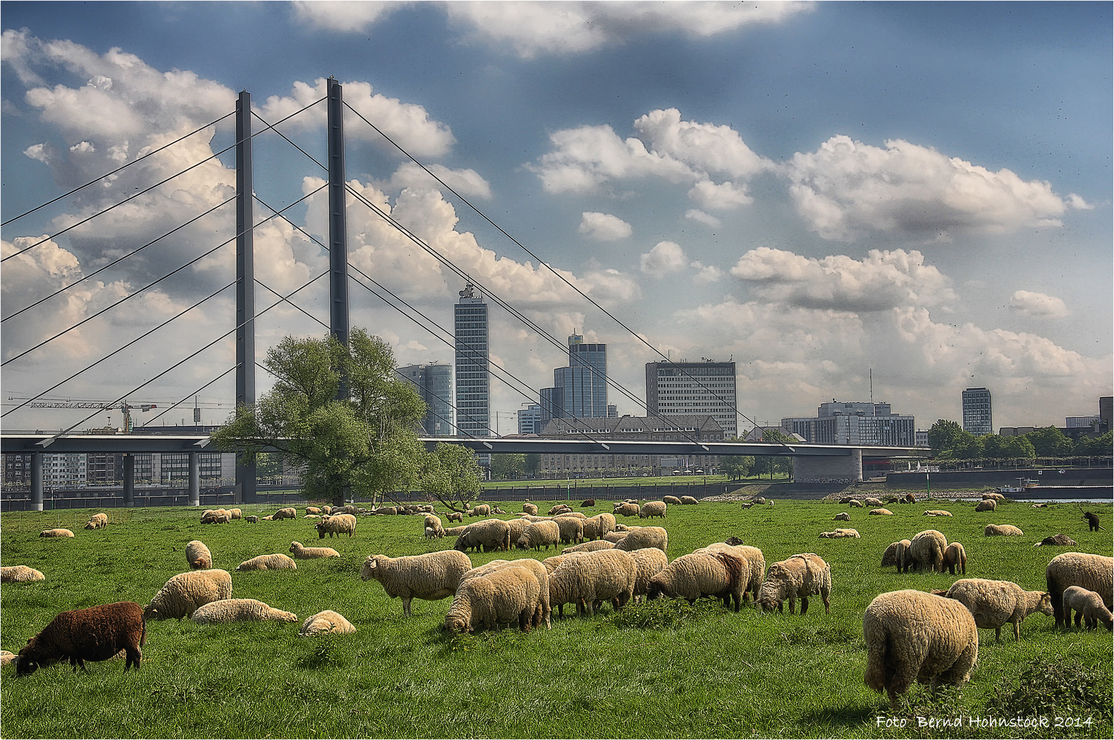 Großstadtidylle ....