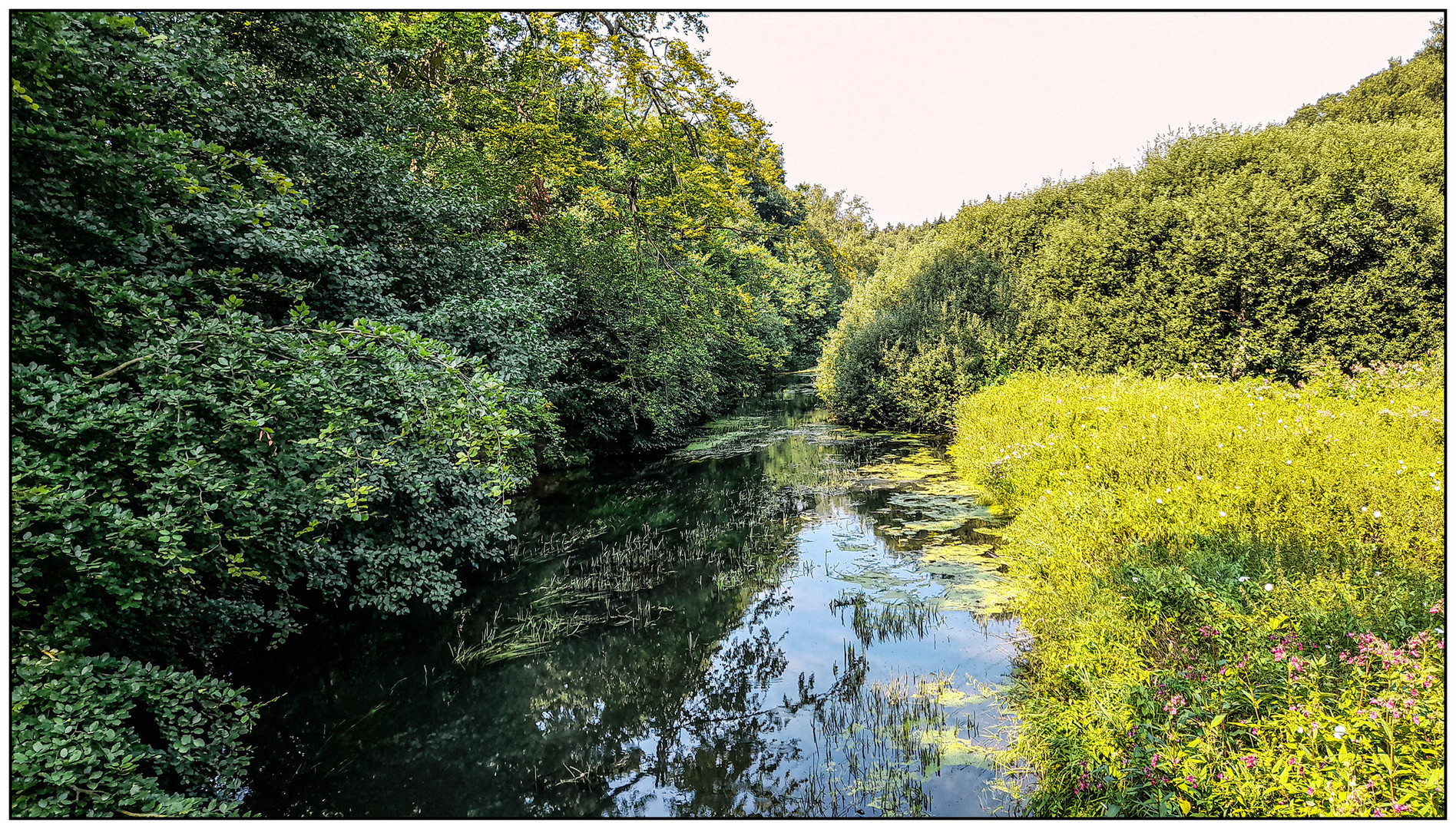 Großstadtnatur