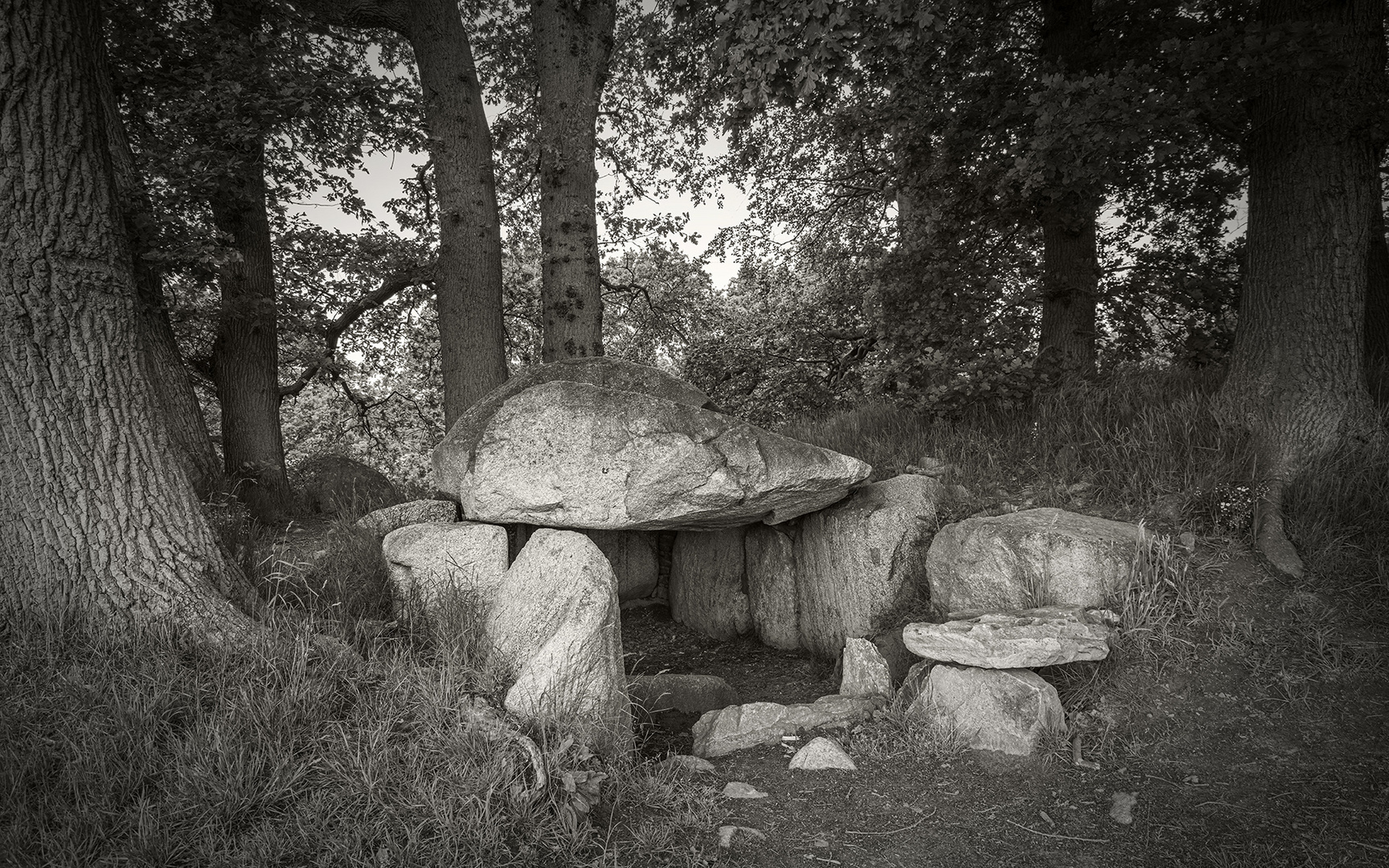 Großsteingrab Foto & Bild spezial, grab, rügen Bilder auf