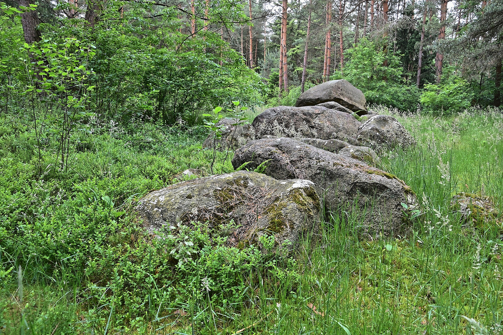 Großsteingrab auf dem Radberg