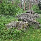 Großsteingrab auf dem Radberg