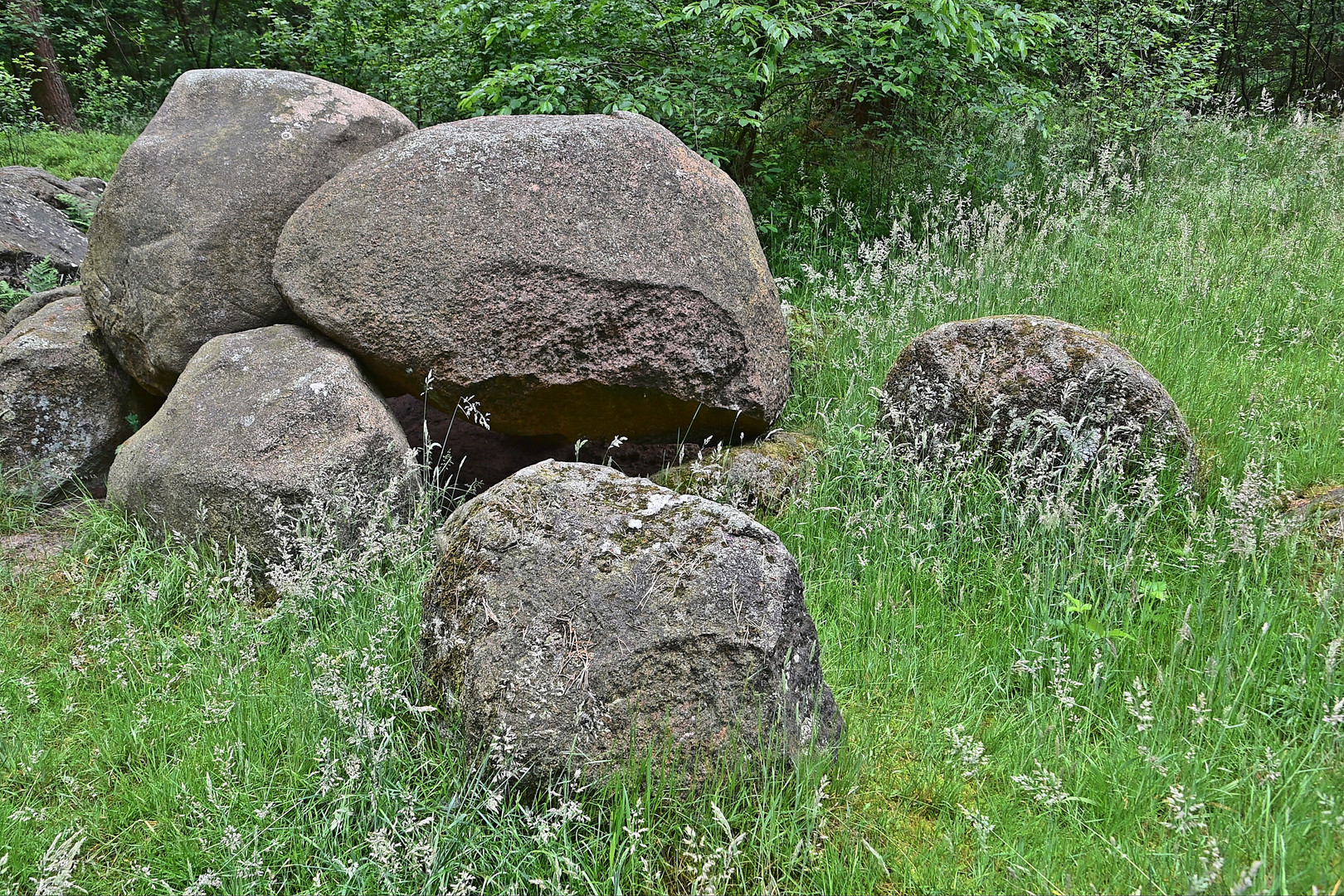 Großsteingrab auf dem Radberg