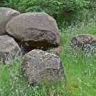 Großsteingrab auf dem Radberg