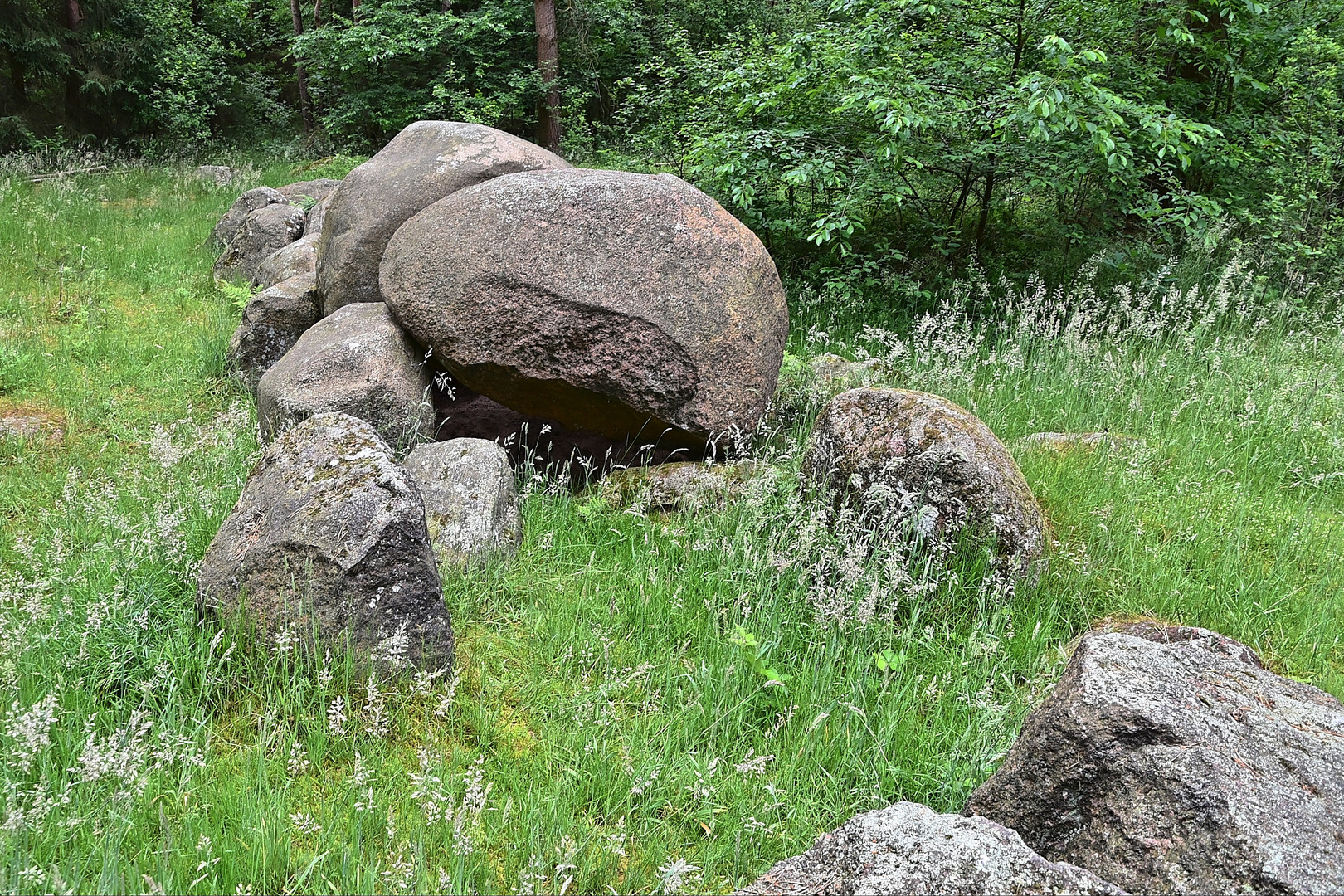 Großsteingrab auf dem Radberg