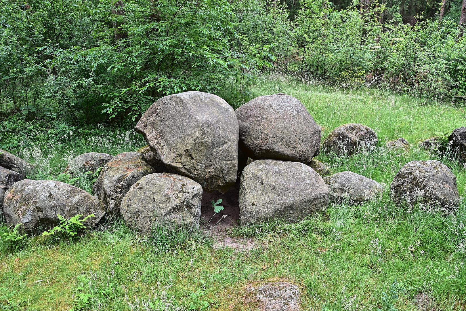 Großsteingrab auf dem Radberg