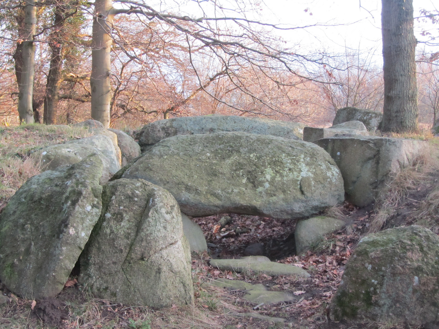 Großsteingrab auf Rügen