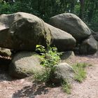 Großsteingrab bei Werlte