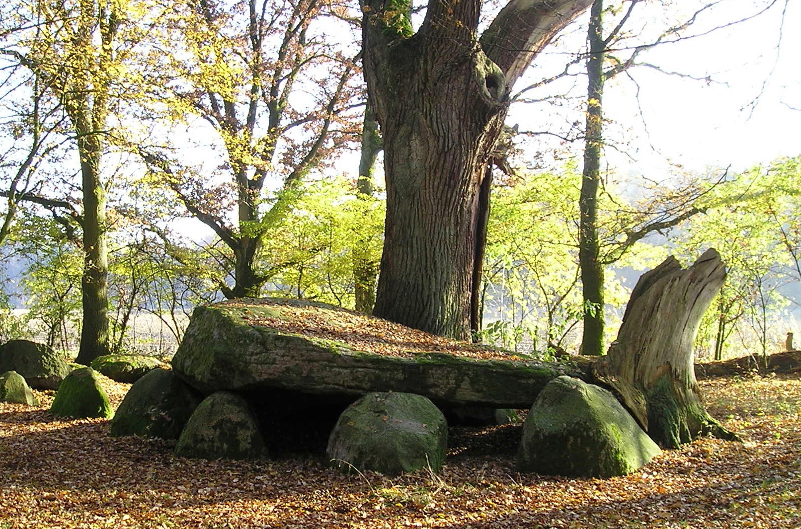 Großsteingrab "Heidenopfertisch"