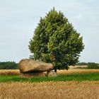 Großsteingrab im Feld