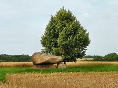 Großsteingrab im Feld