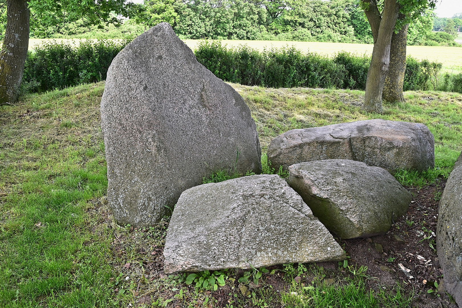 Großsteingrab Jeggen