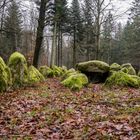 Großsteingrab Kleckerwald 3