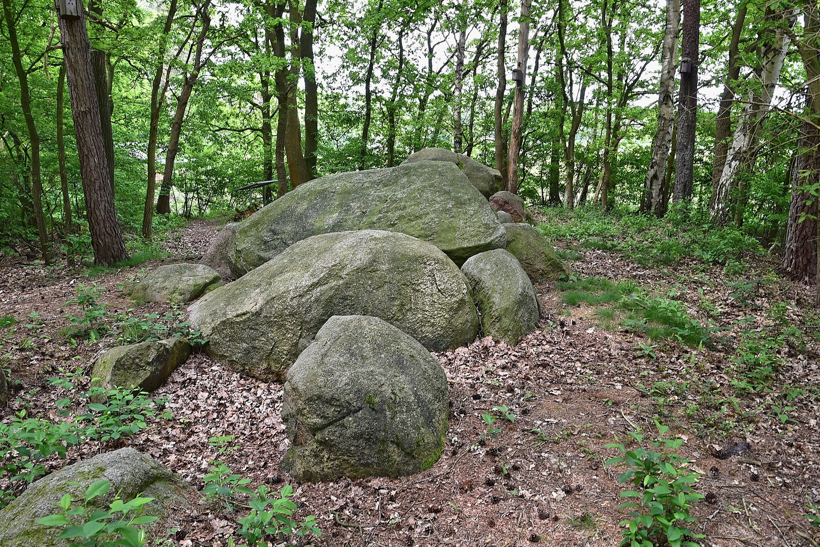 Großsteingrab Rickelmann 1