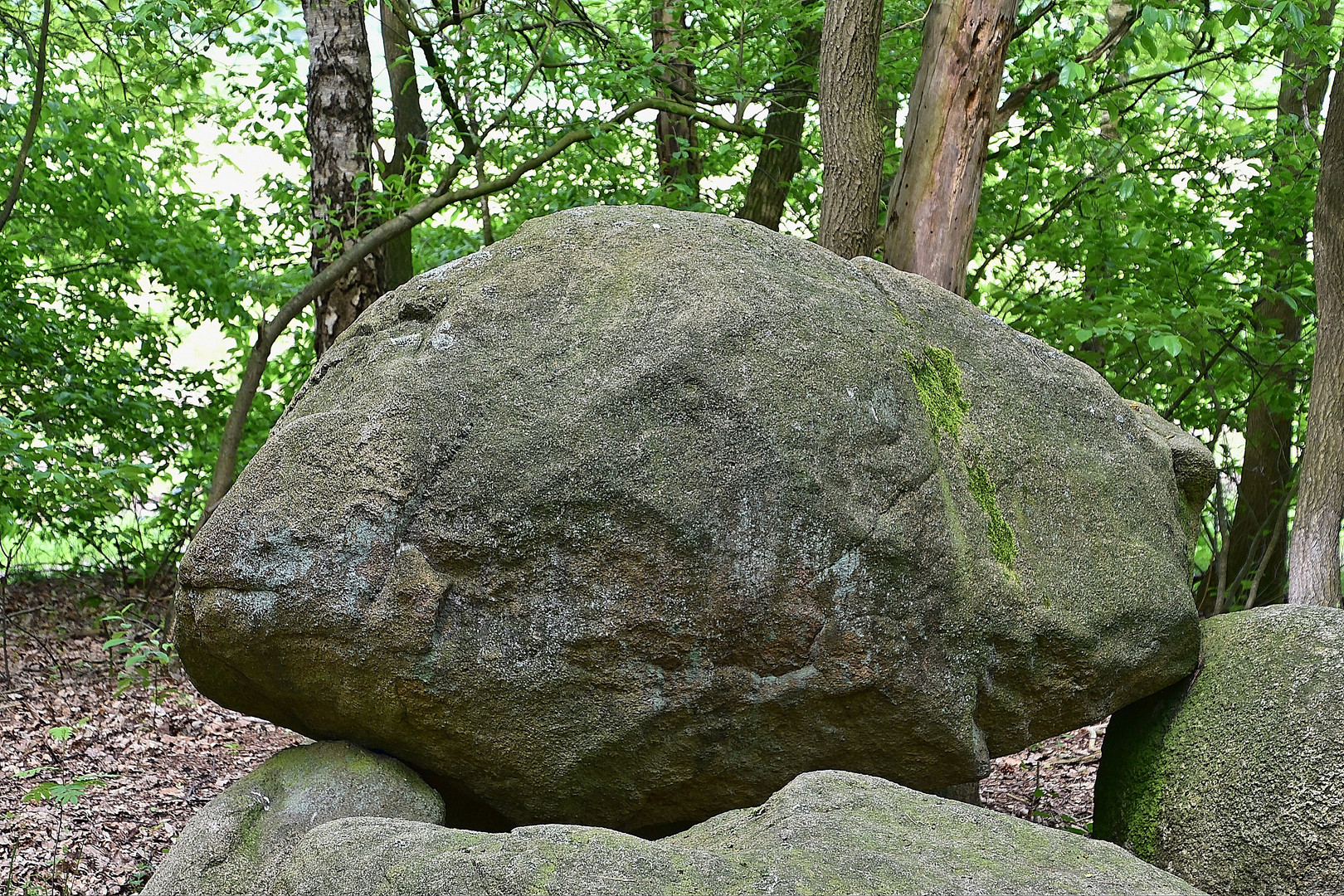 Großsteingrab Rickelmann 1