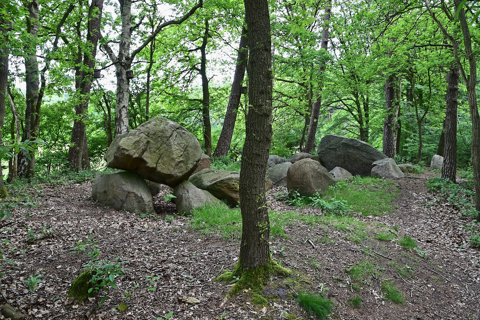 Großsteingrab Rickelmann 1