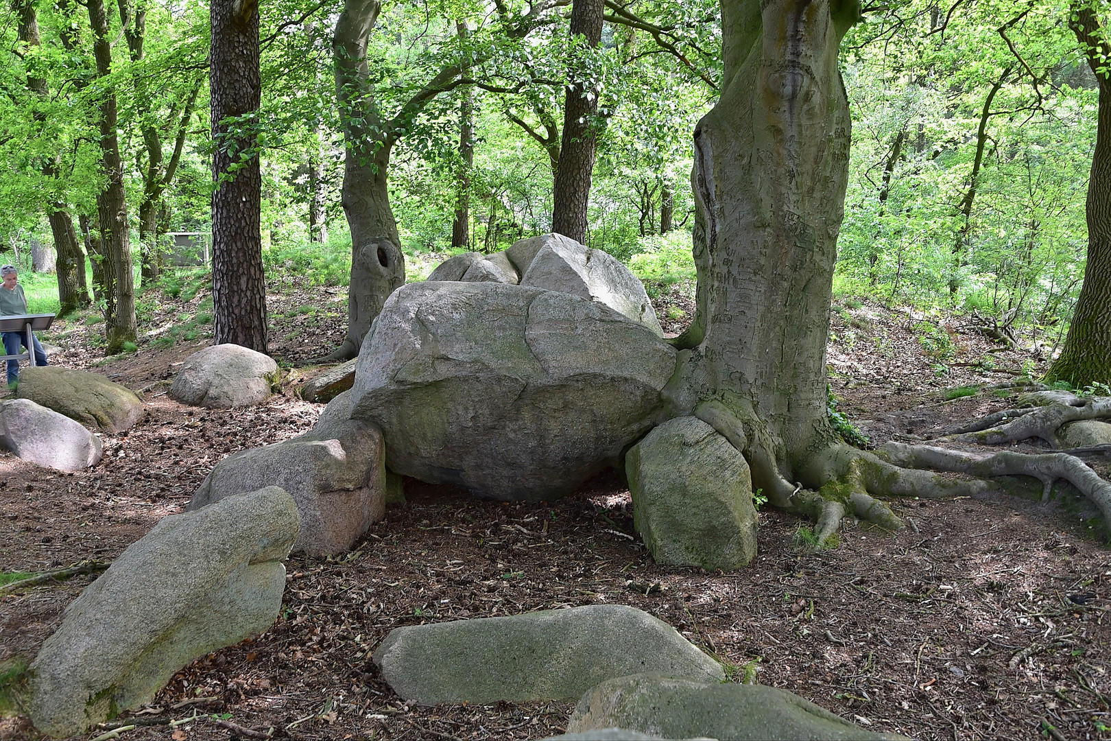 Großsteingrab Rickelmann 2