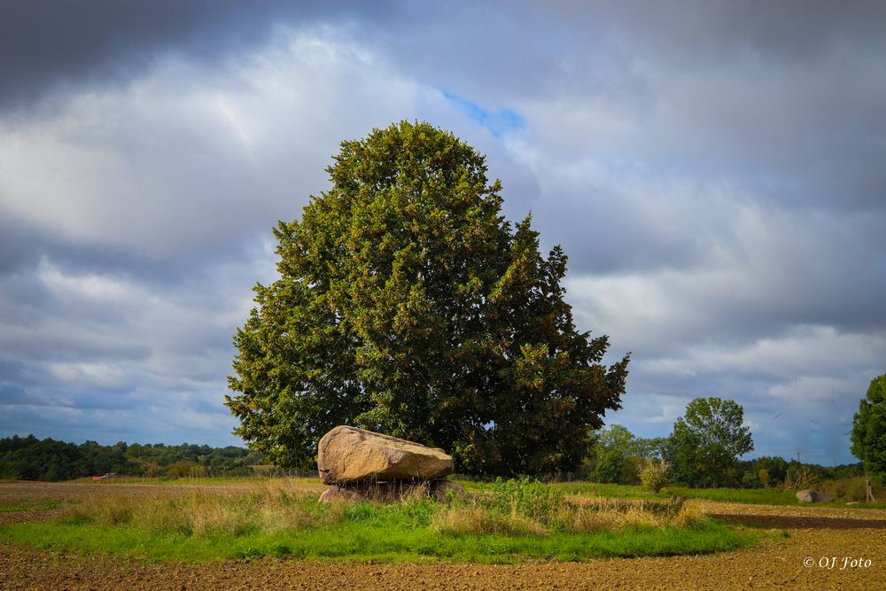 Großsteingrab von Trebenow