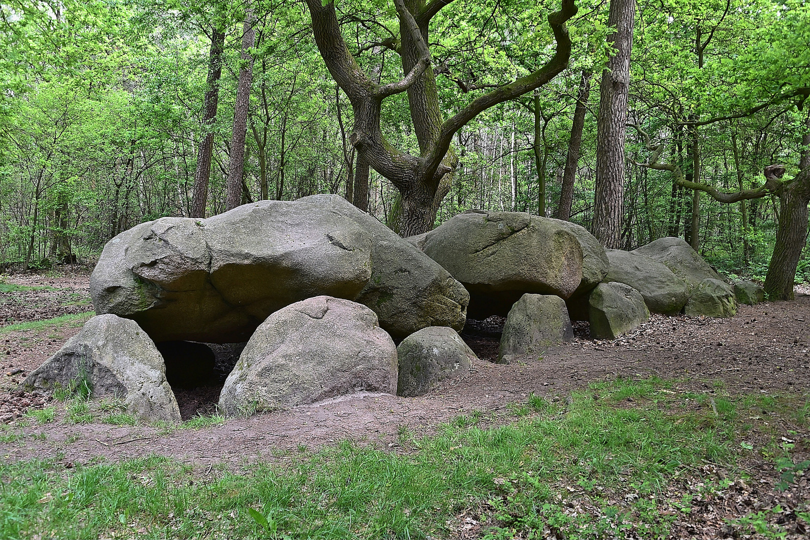 Großsteingrab Wiemelsberger Steine