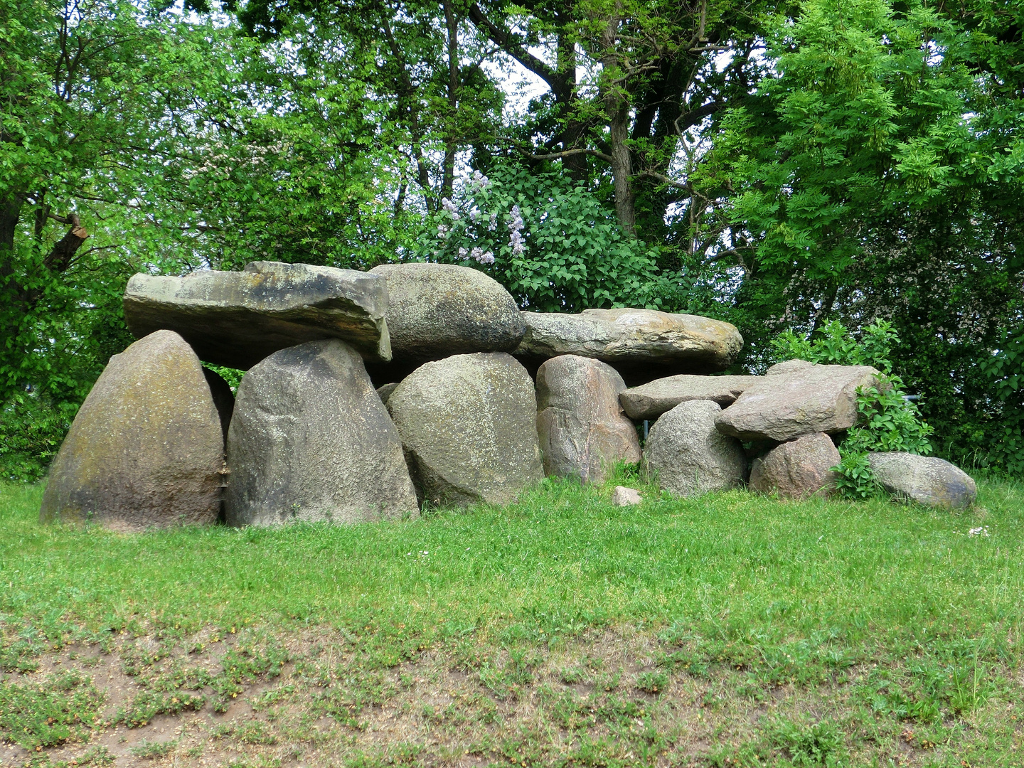 Großsteingrab Wulfen, Sachsen Anhalt