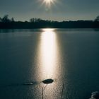 Großteich bei Moritzburg nahe Dresden