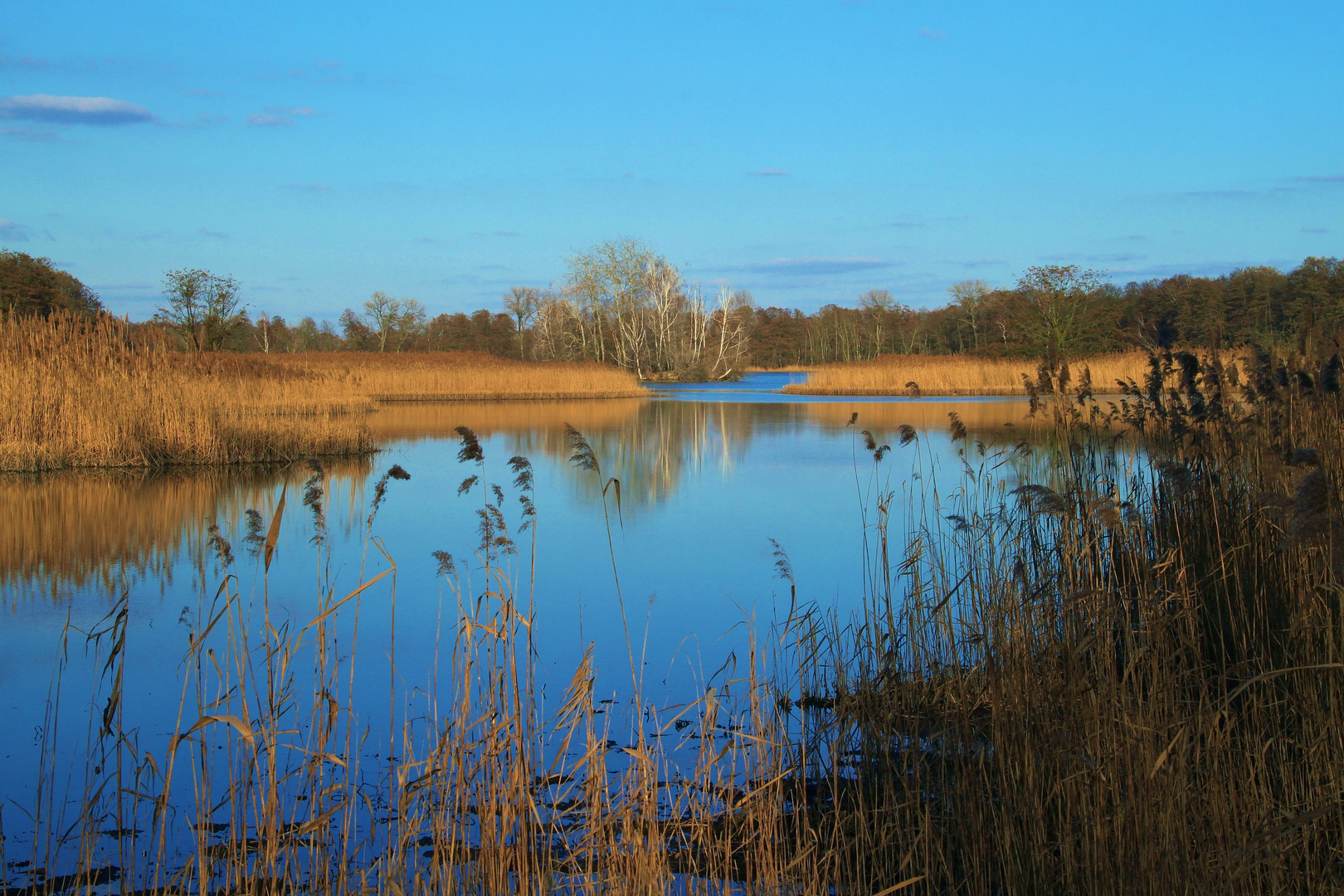 Großteich Guttau