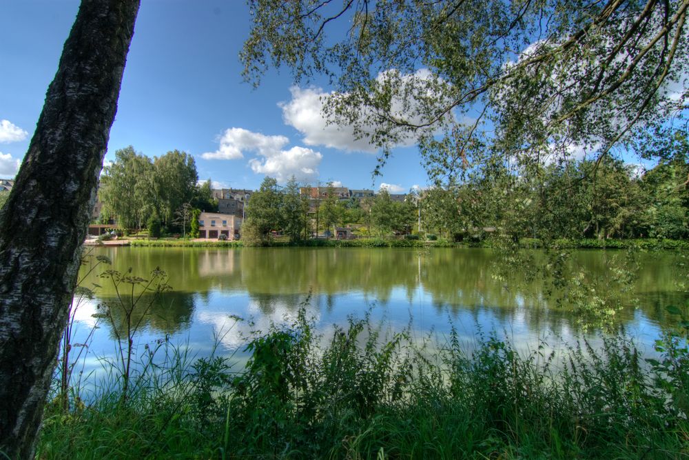 Großteich in Geringswalde