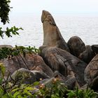 Großvaterfelsen (vor dem Akt)