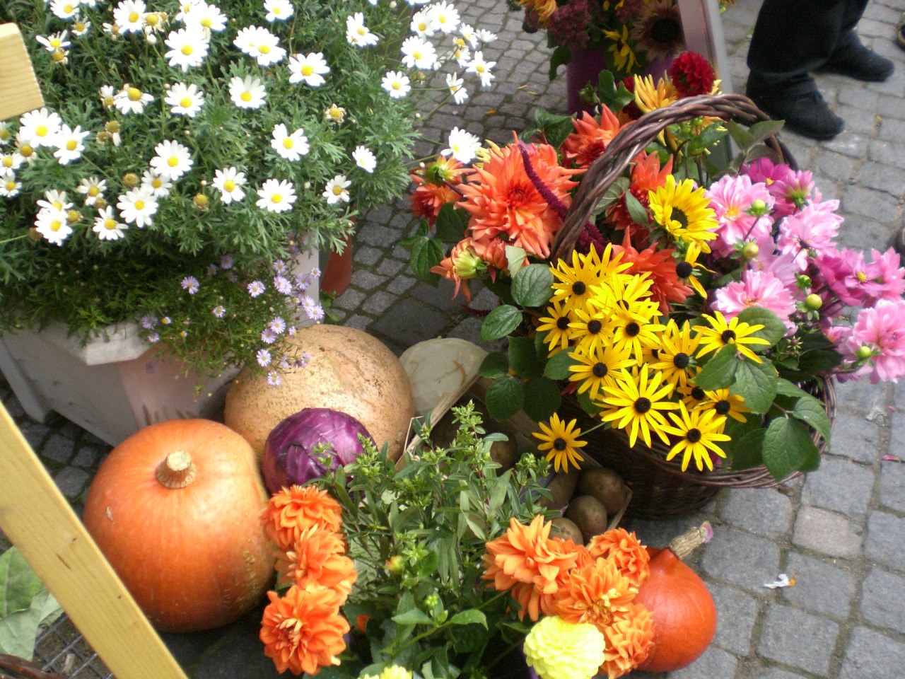 großzügige Herbst