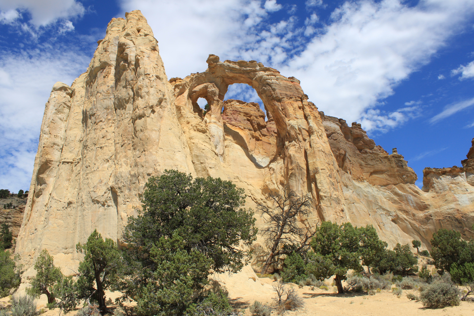 Grosvenor Arch #2