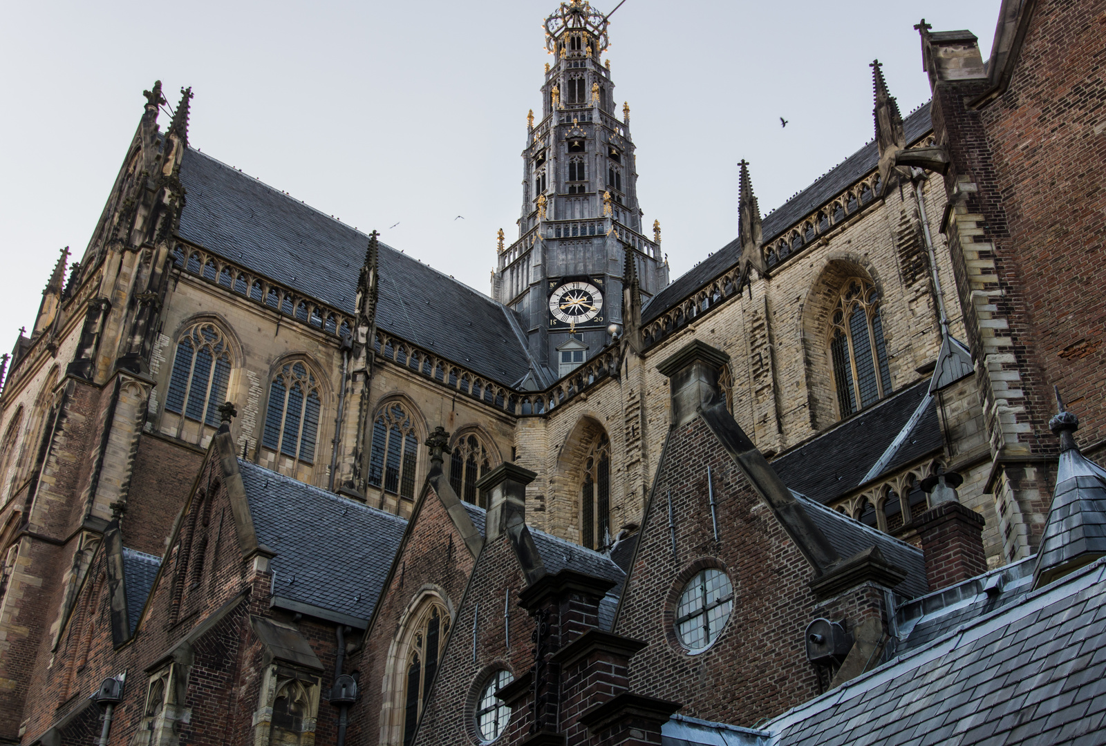 Grote Kerk II - Haarlem/Niederlande