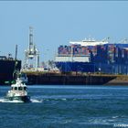 " GROTE STERN " Zollboot, Rotterdam.