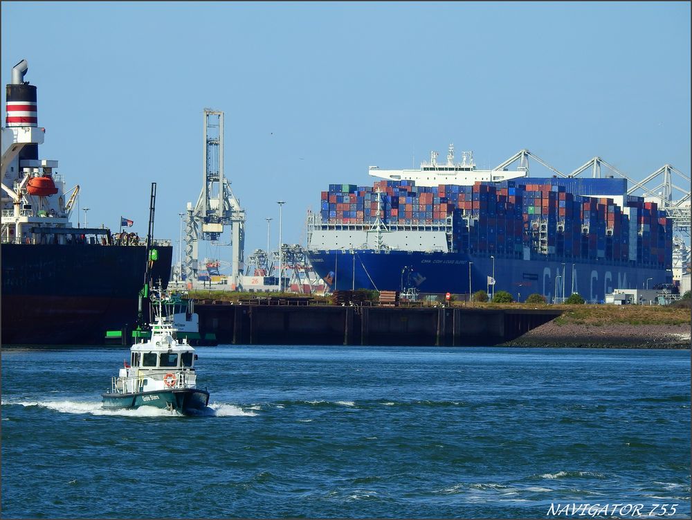 " GROTE STERN " Zollboot, Rotterdam.