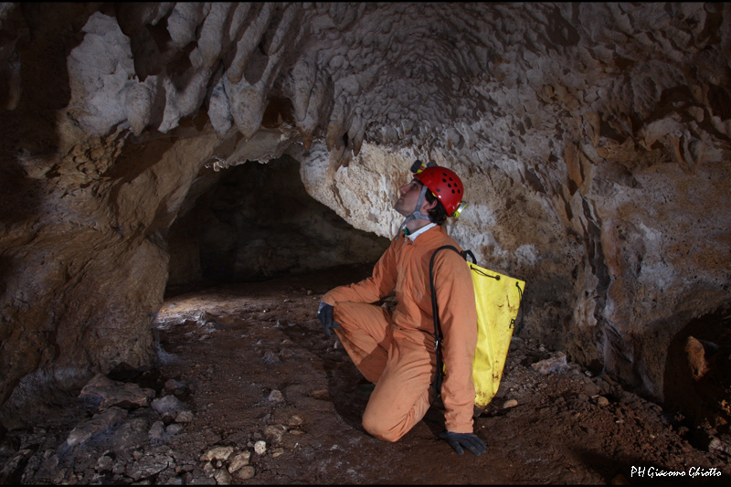 GROTTA DELLA GUERRA RAMI ALTI