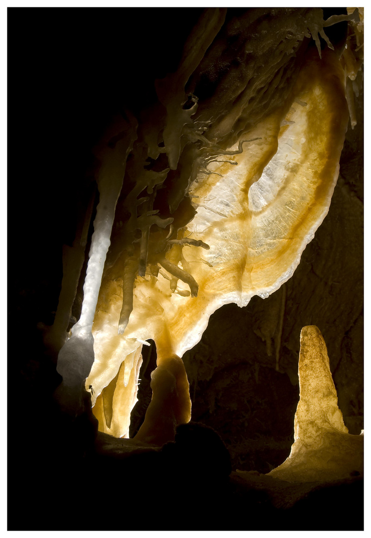 Grotta dell'Ugola - Concrezione