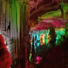 Grotte de la Salamandre, Gard - 2 -