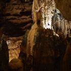 Grotte de Saint Marcel d'Ardèche