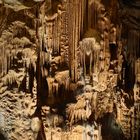 Grotte de Saint Marcel d'Ardèche