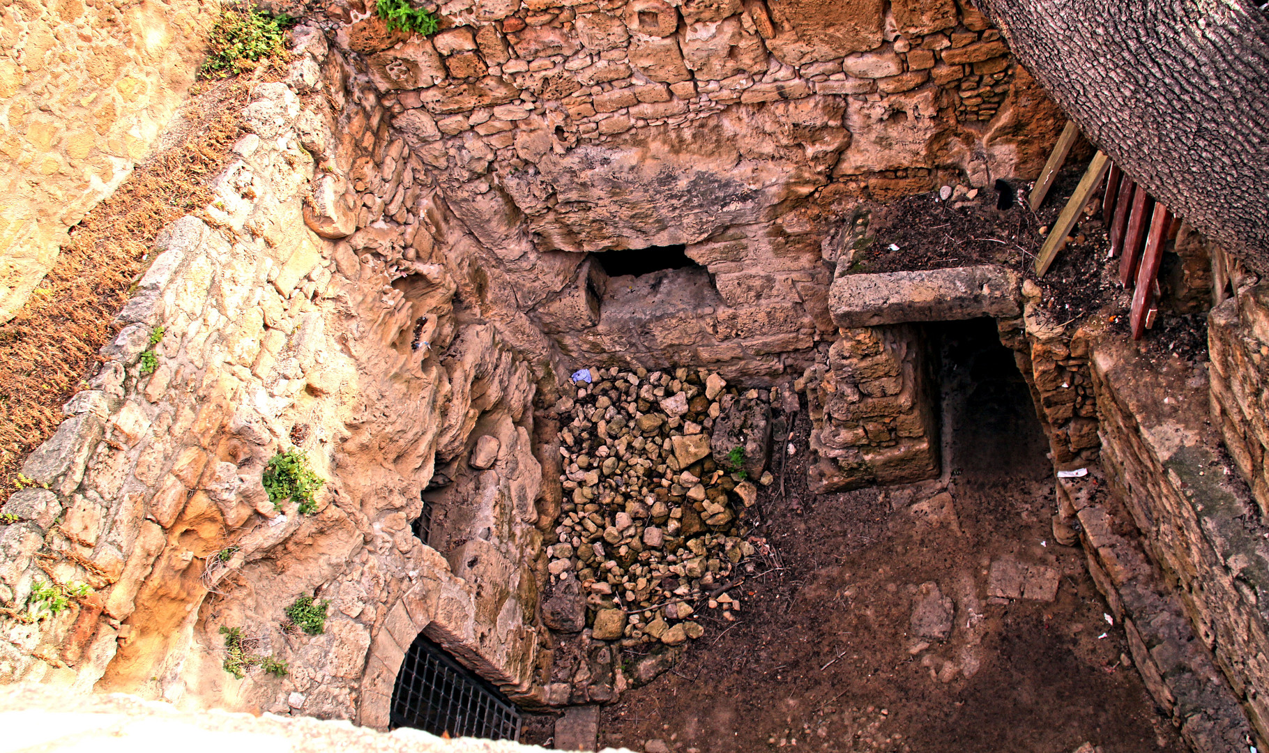 Grotte der Heiligen Salomoni mit Wunschbaum 1